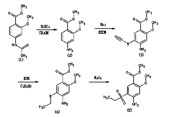 Synthetic method of 2-methoxyl-4-amino-5-ethyl sulfuryl methyl benzoate