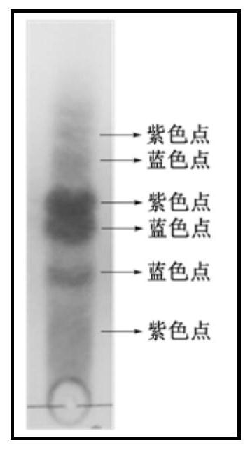 Method and application of preparing total triterpenes with hypoglycemic effect from Cyclocarya paliurus leaves
