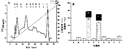Method for producing bacteriostatic active substances by bacillus amyloliquefaciens