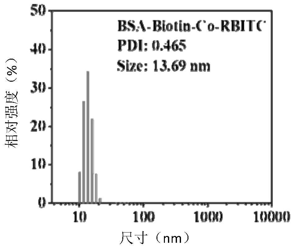 Cobalt-based mimic enzyme as well as preparation method and application thereof