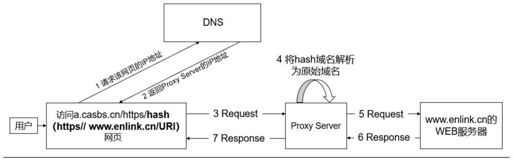 WEB application access proxy method, device and system based on domain name generic resolution