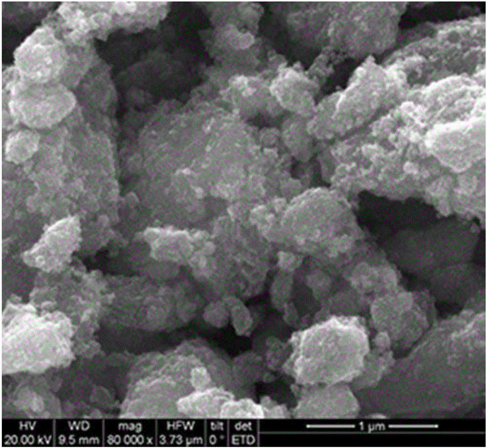 Preparation method and application of DTPA (diethylenetriaminepentaacetic acid)-modified magnetic graphene oxide composite