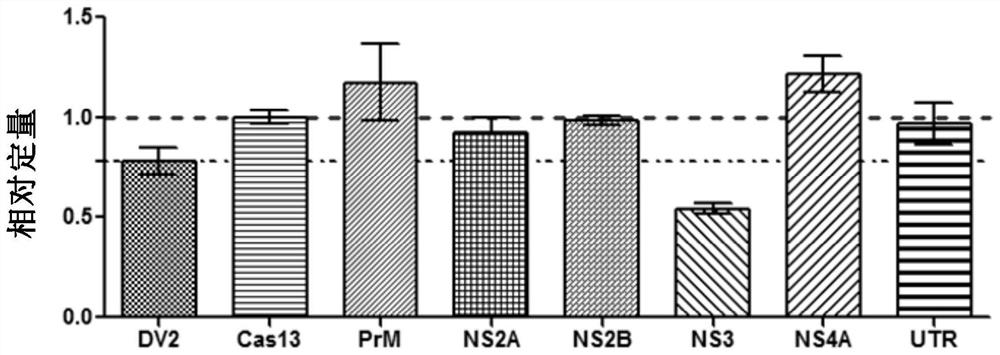 An effective cas13a-based anti-dengue virus nucleic acid target and its application