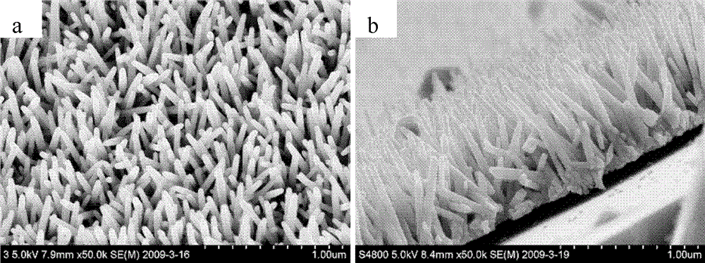 Preparation method of Pd elementary substance coated ZnO nanorod array