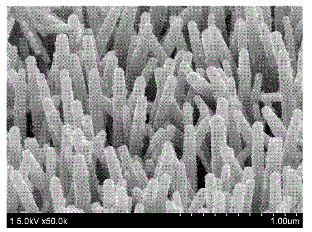 Preparation method of Pd elementary substance coated ZnO nanorod array