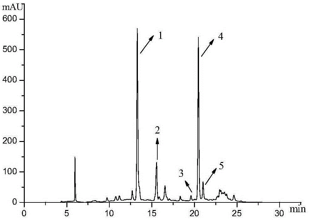 Method for preparing phenolic acid compound through fatsia japonica