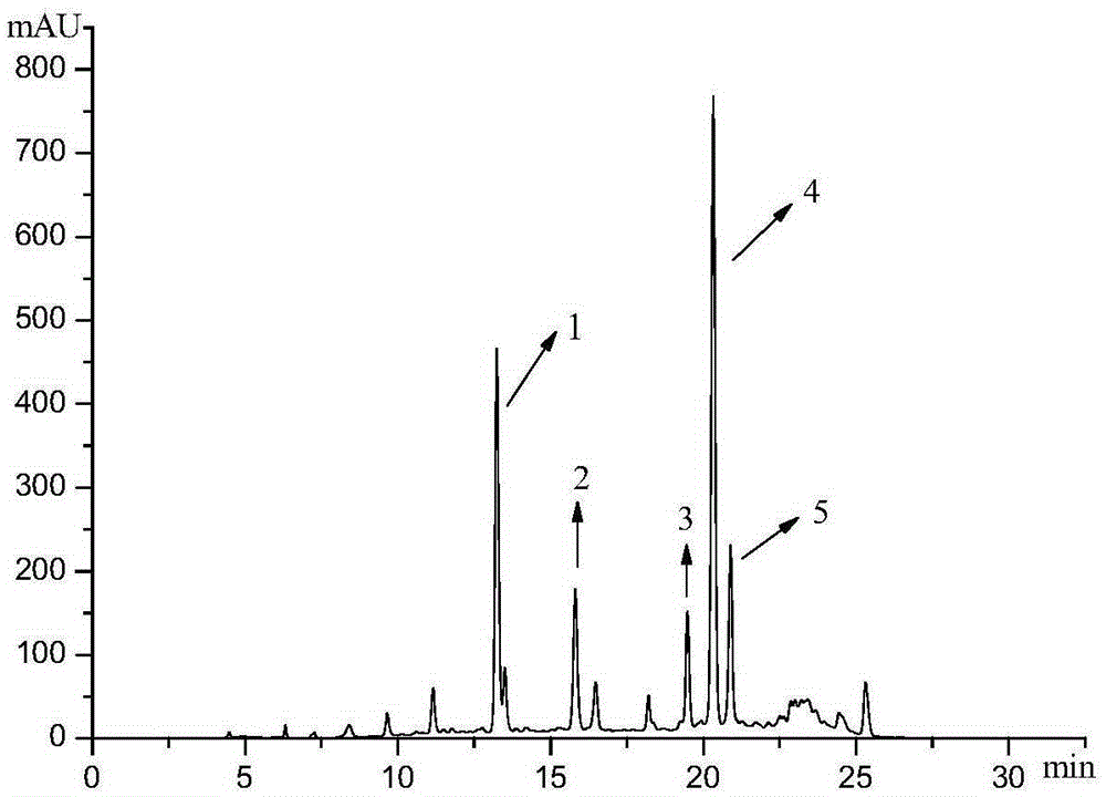 Method for preparing phenolic acid compound through fatsia japonica