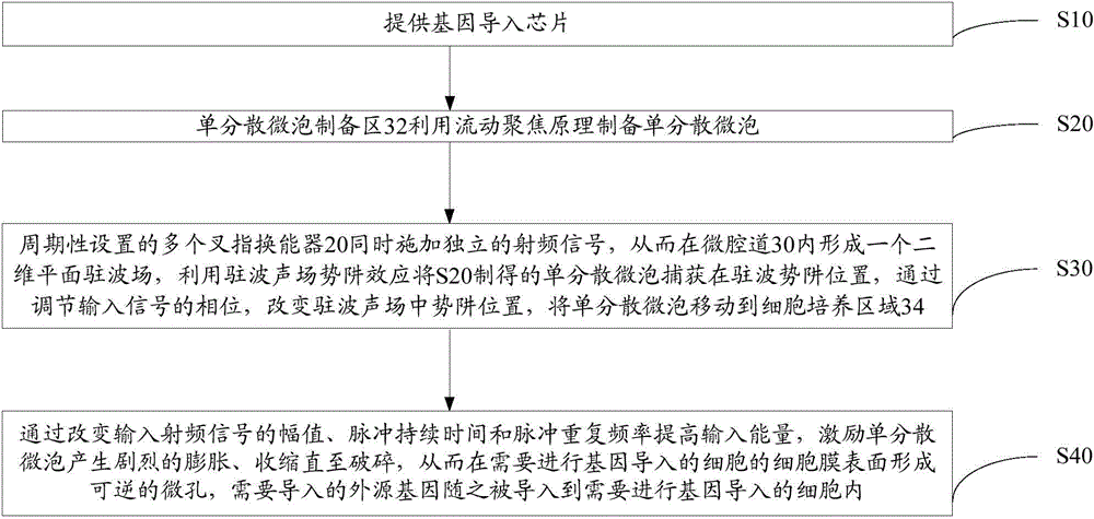 Gene introduction chip and gene introduction method