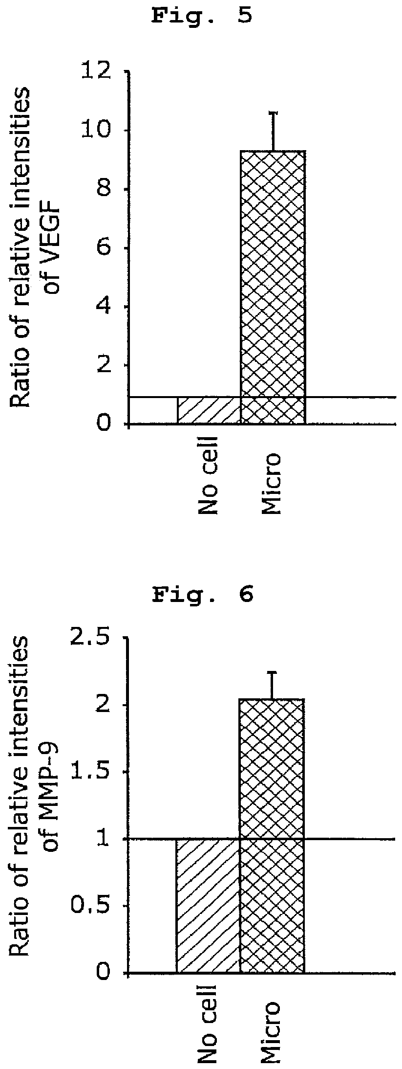 Cell preparation and method for producing cell preparation