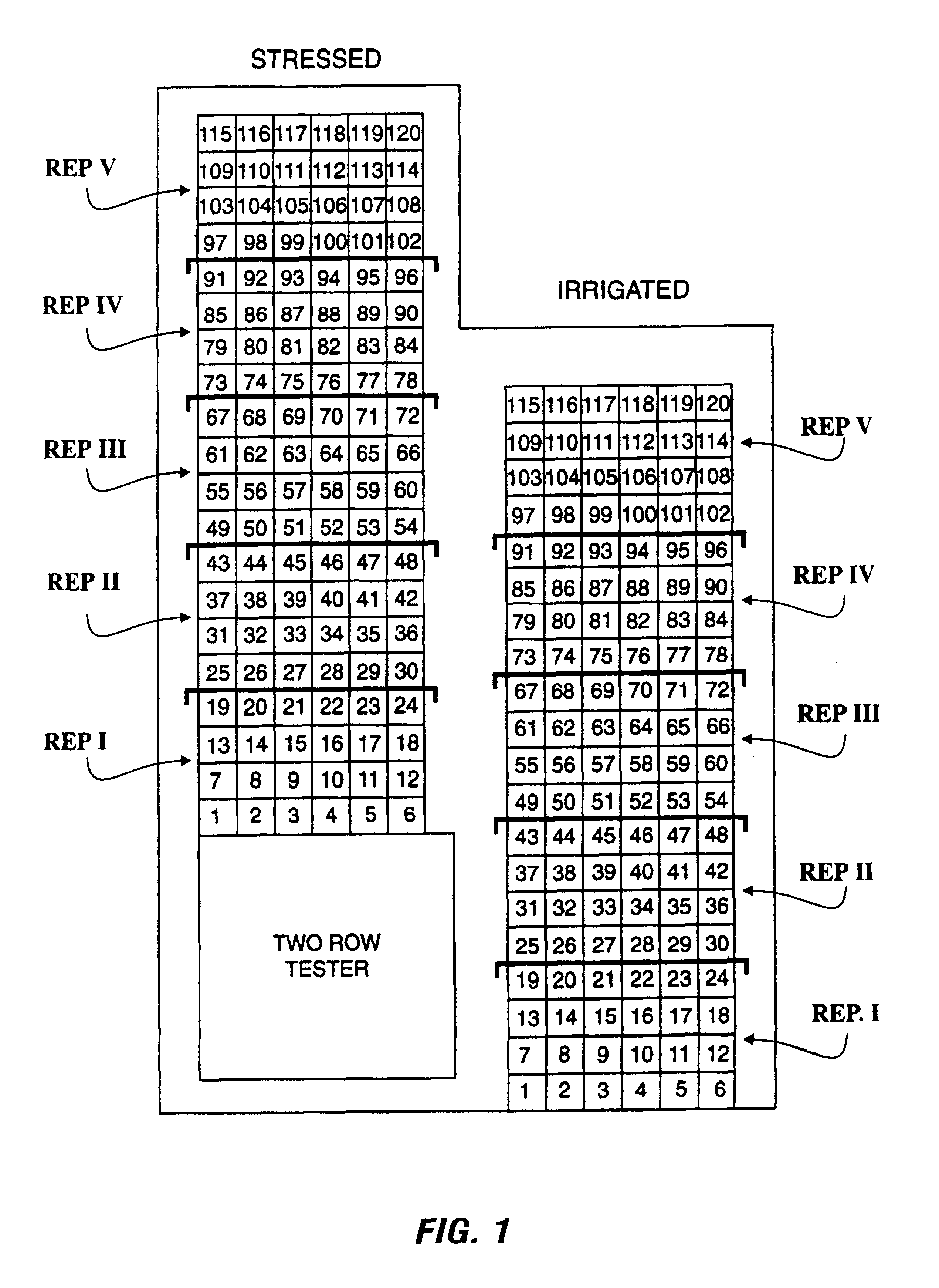 Methods for classifying plants for evaluation and breeding programs by use of remote sensing and image analysis technology