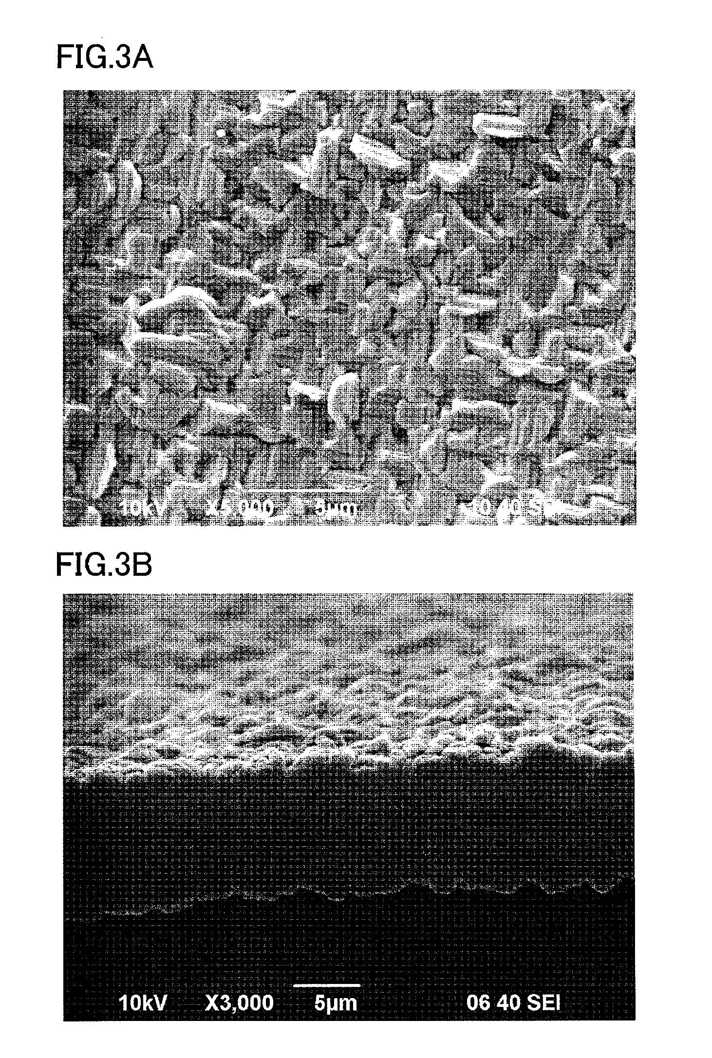 Plate-like particle for cathode active material of a lithium secondary battery, and a lithium secondary battery
