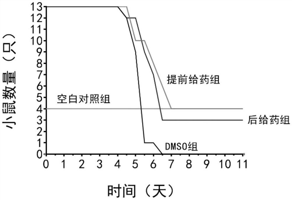 Application of rifamycin antibiotics in the preparation of anti-yellow fever virus infection drugs