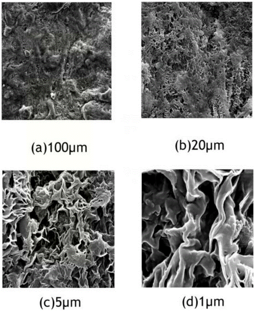 Polycaprolactone and silk fibroin electrospun fibrous membrane with surface of continuous laminated micro-nano structure and preparation method and application thereof