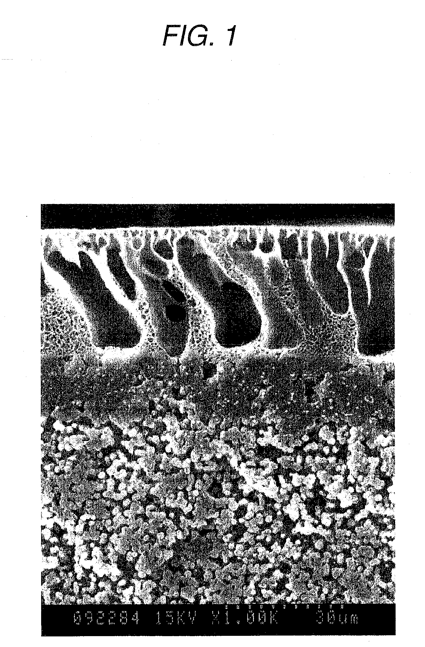 Polymer separation membrane and process for producing the same