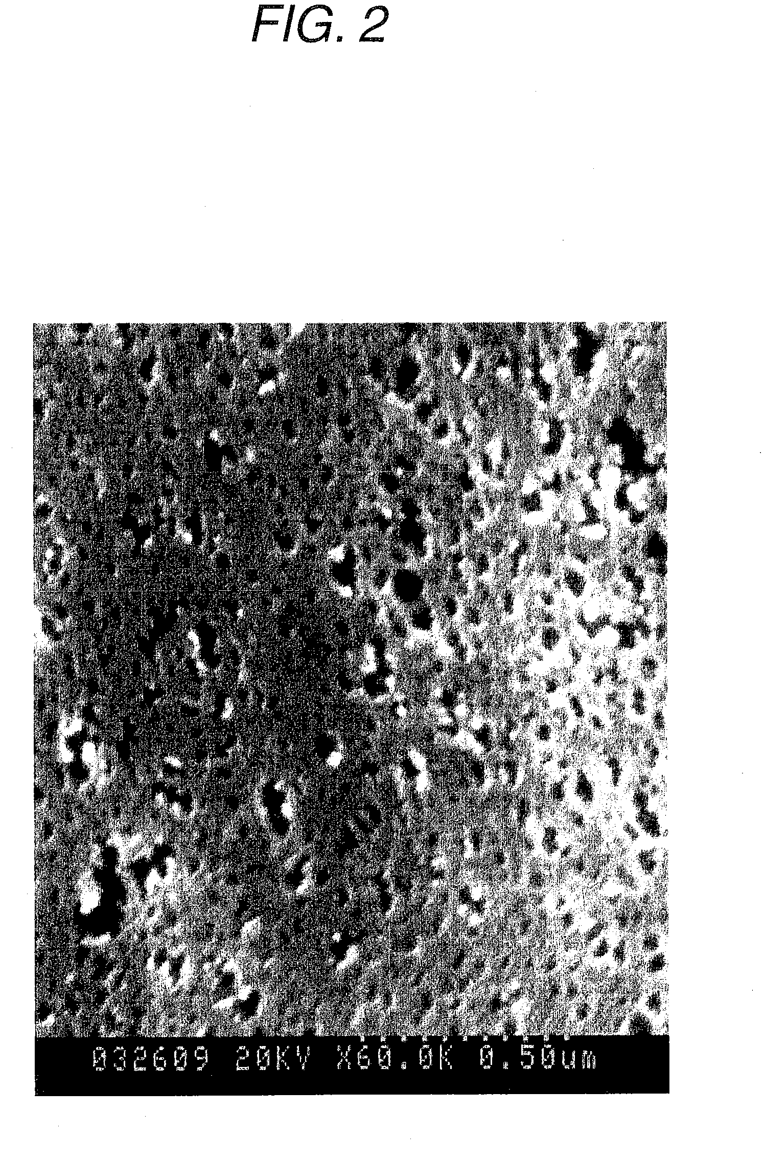 Polymer separation membrane and process for producing the same