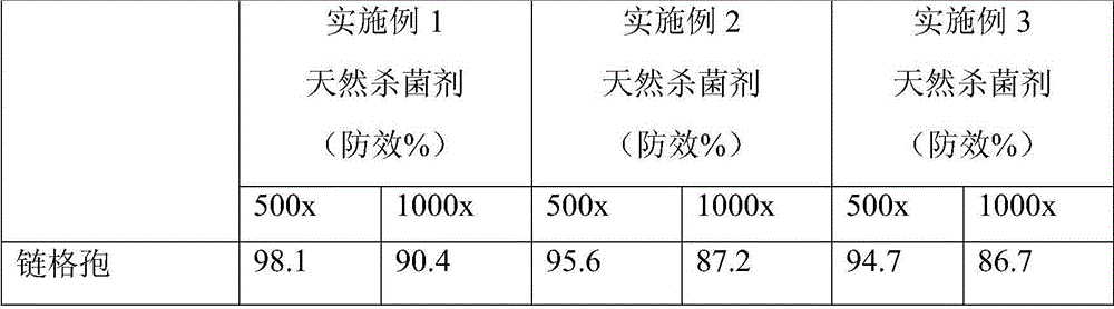 A kind of natural fungicide for preventing and treating ginkgo withered disease and preparation method thereof