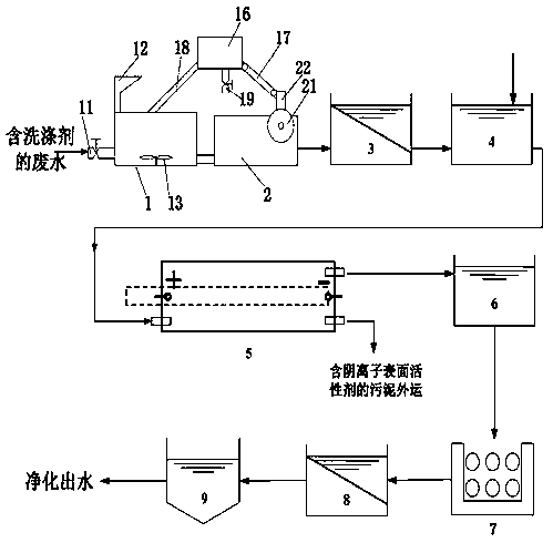 A treatment system for removing detergent in domestic wastewater