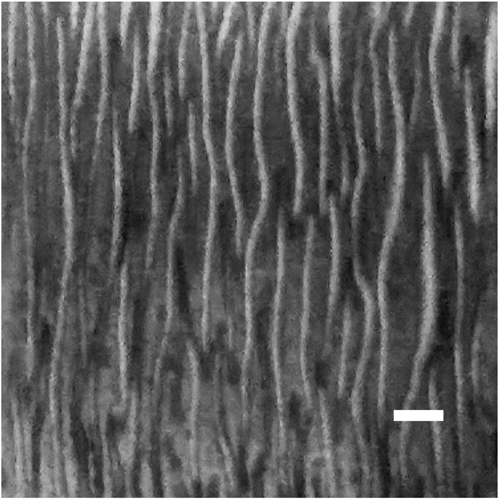 Method for preparing stretchable breath detection material