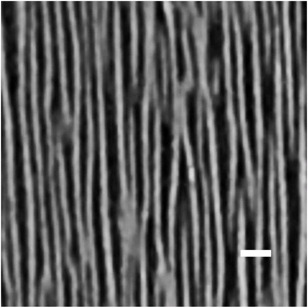 Method for preparing stretchable breath detection material