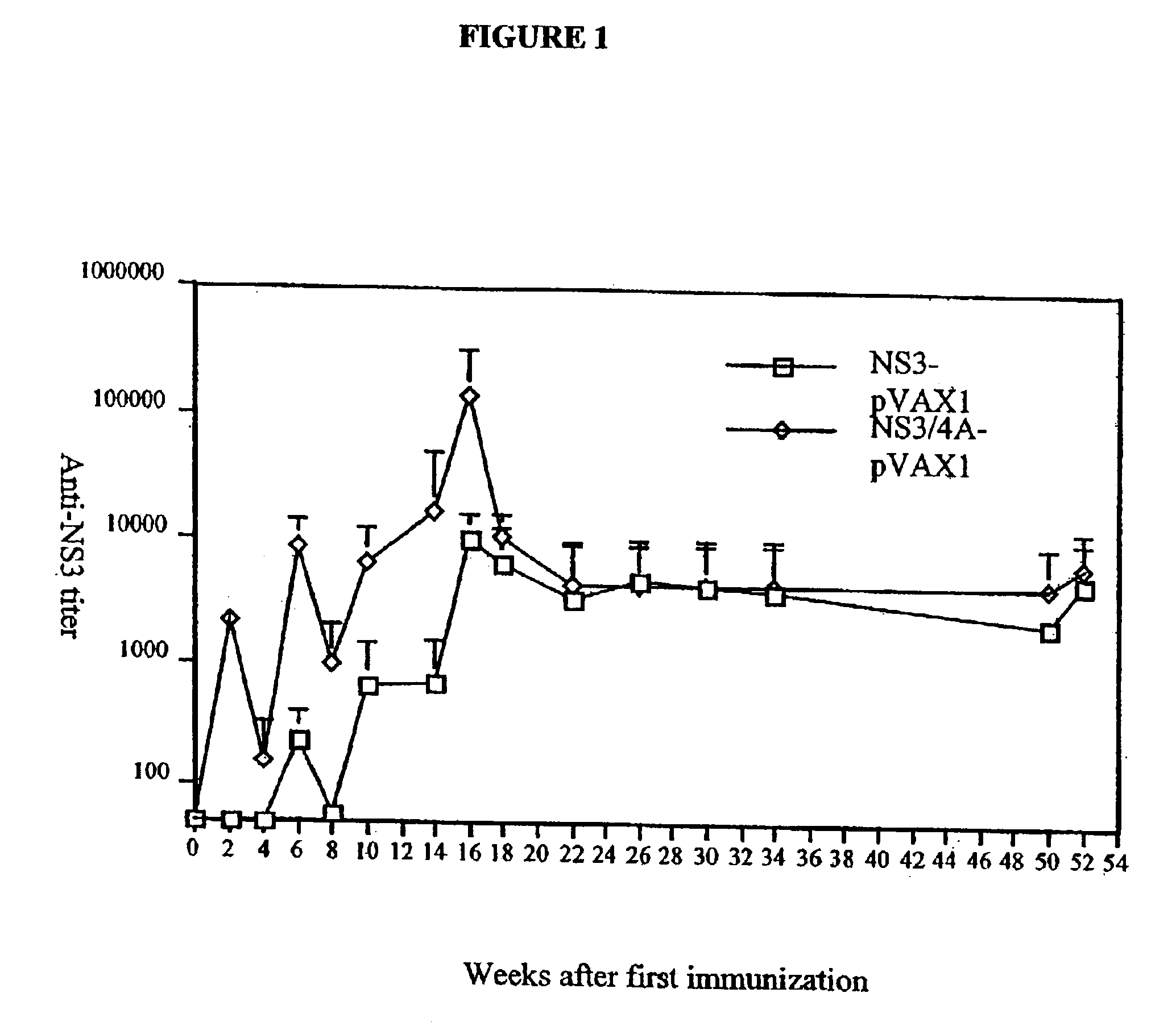 Hepatitis C virus codon optimized non-structural NS3/4A fusion gene