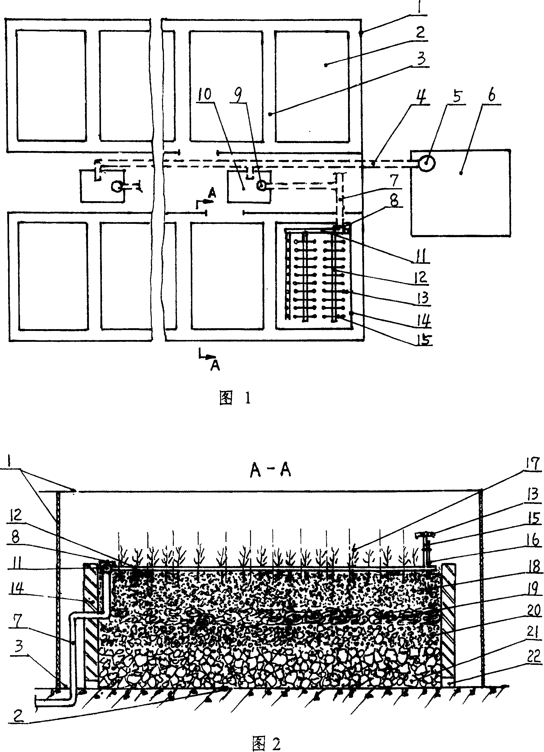 Method for breeding non-prick large-fruited sarch