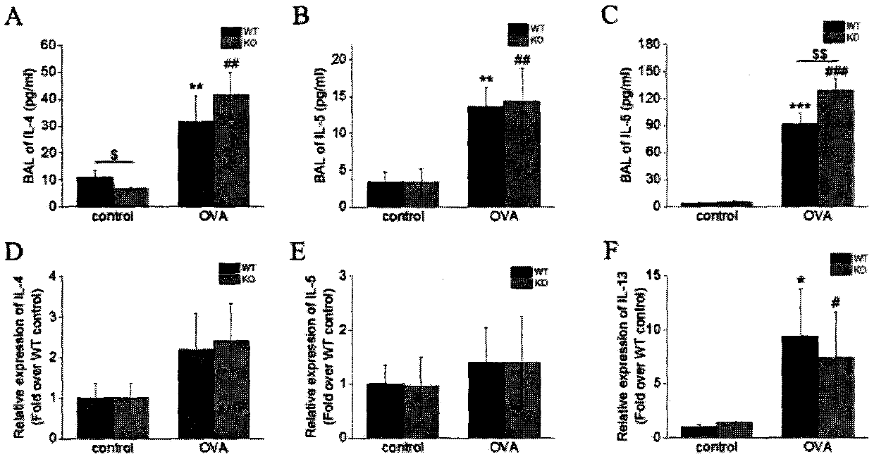 Function and application of voltage-gated proton channel Hv1 in treating allergic asthma