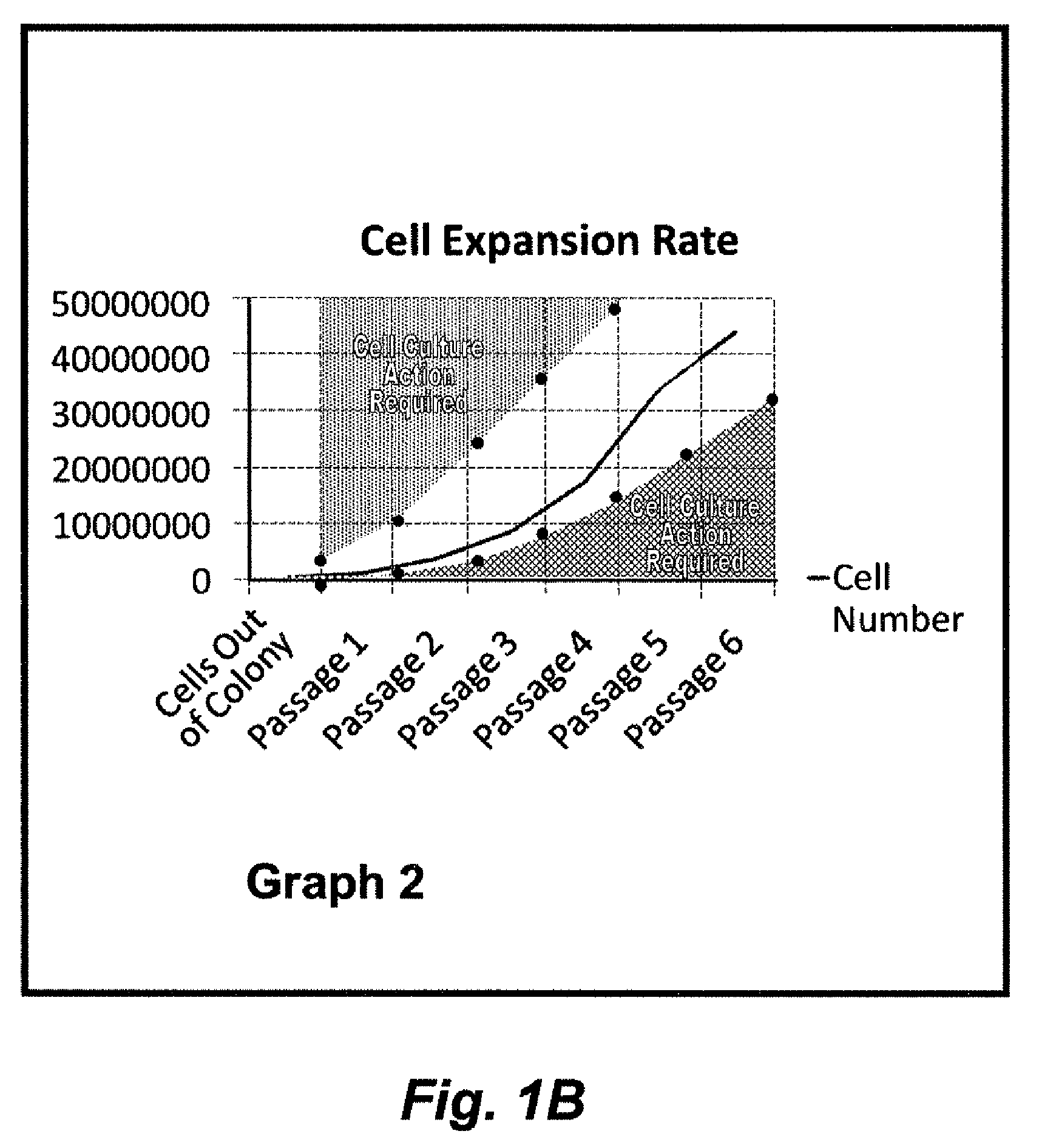 Methods and compositions for optimized expansion and implantation of mesenchymal stem cells
