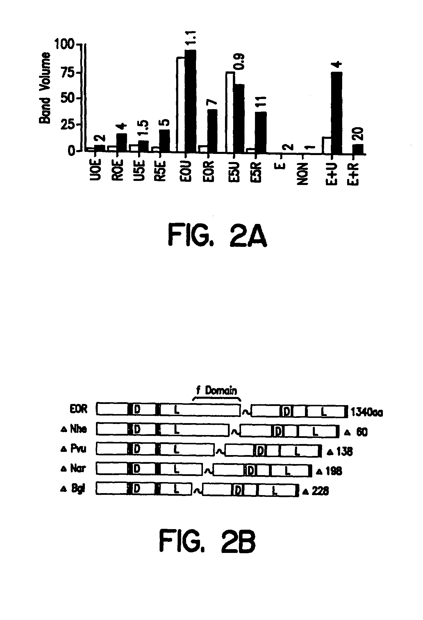 Hormone receptor functional dimers and methods of their use