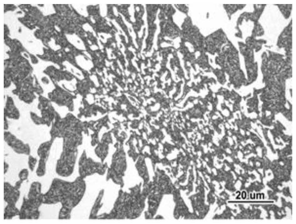 A kind of high carbon medium chromium wear-resistant cast iron and preparation method thereof