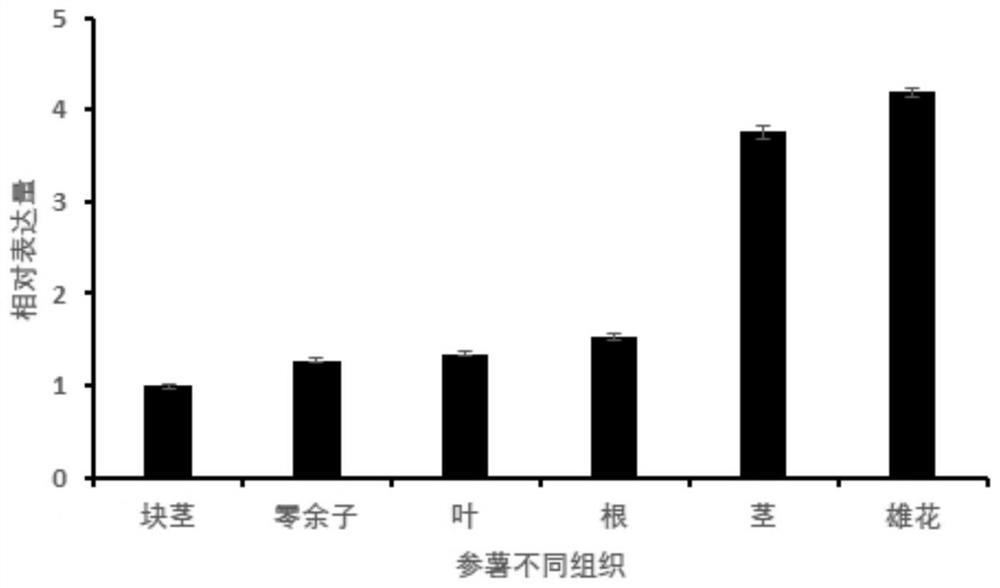 Application of metallothionein DaMT2a and coding gene thereof