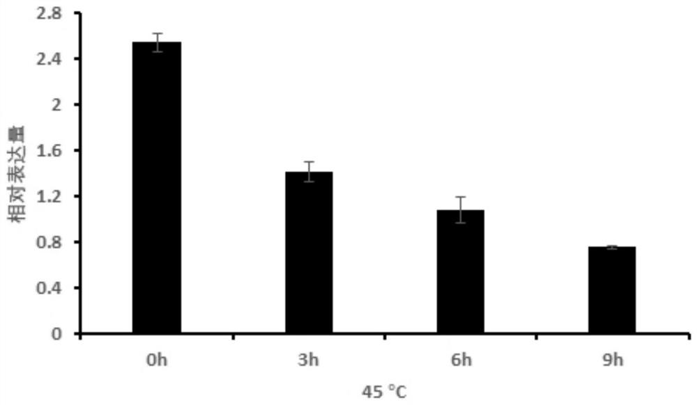 Application of metallothionein DaMT2a and coding gene thereof