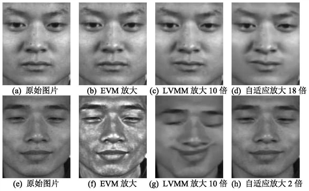 Micro-expression recognition method based on adaptive motion amplification and convolutional neural network