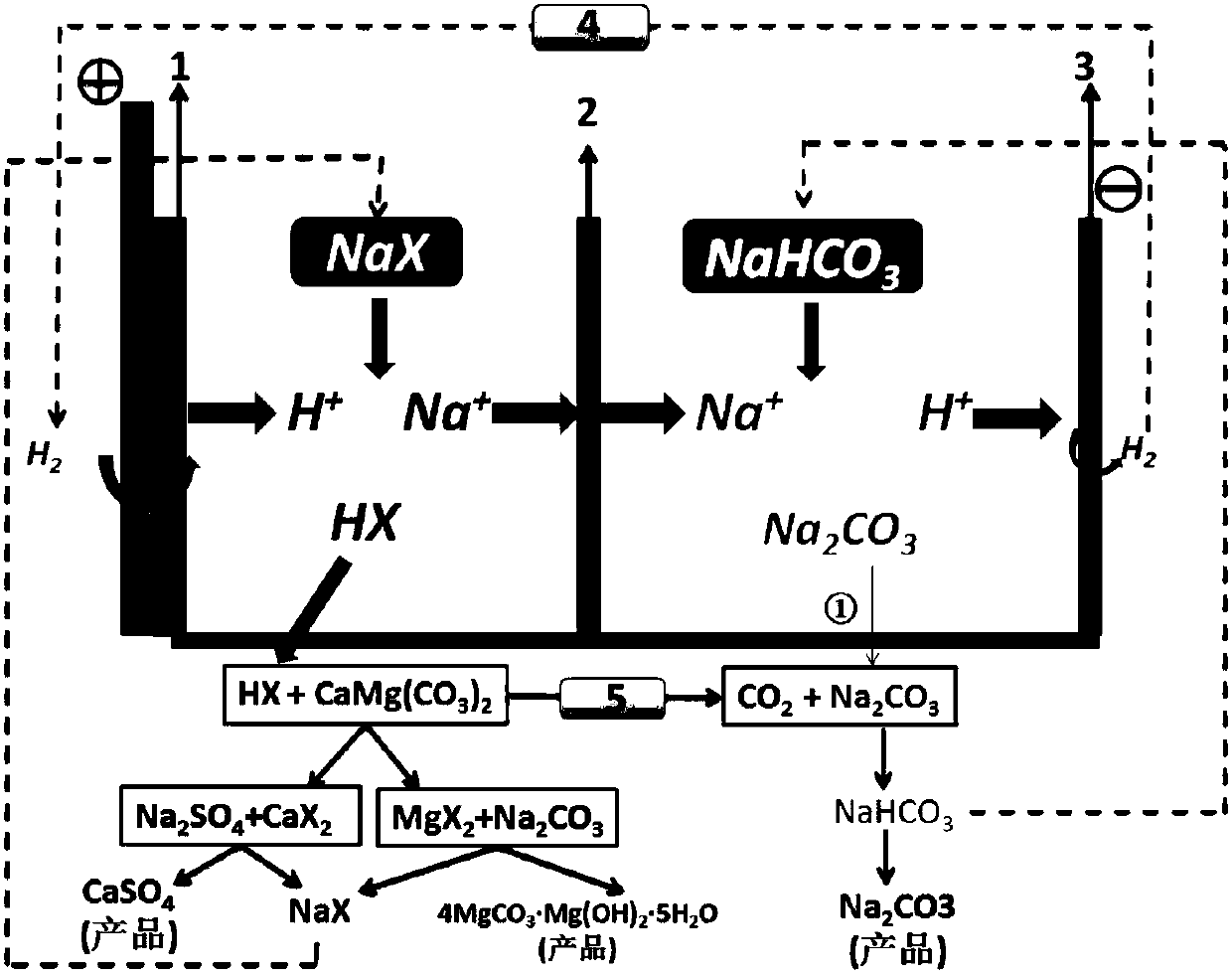 Method for producing soda ash and co-producing gypsum and basic magnesium carbonate by using mirabilite and dolomite