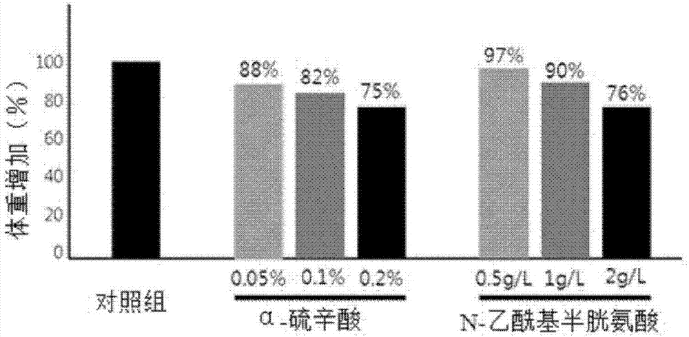 Composition for preventing or treating obesity containing alpha-lipoic acid and n-acetylcysteine as active ingredients