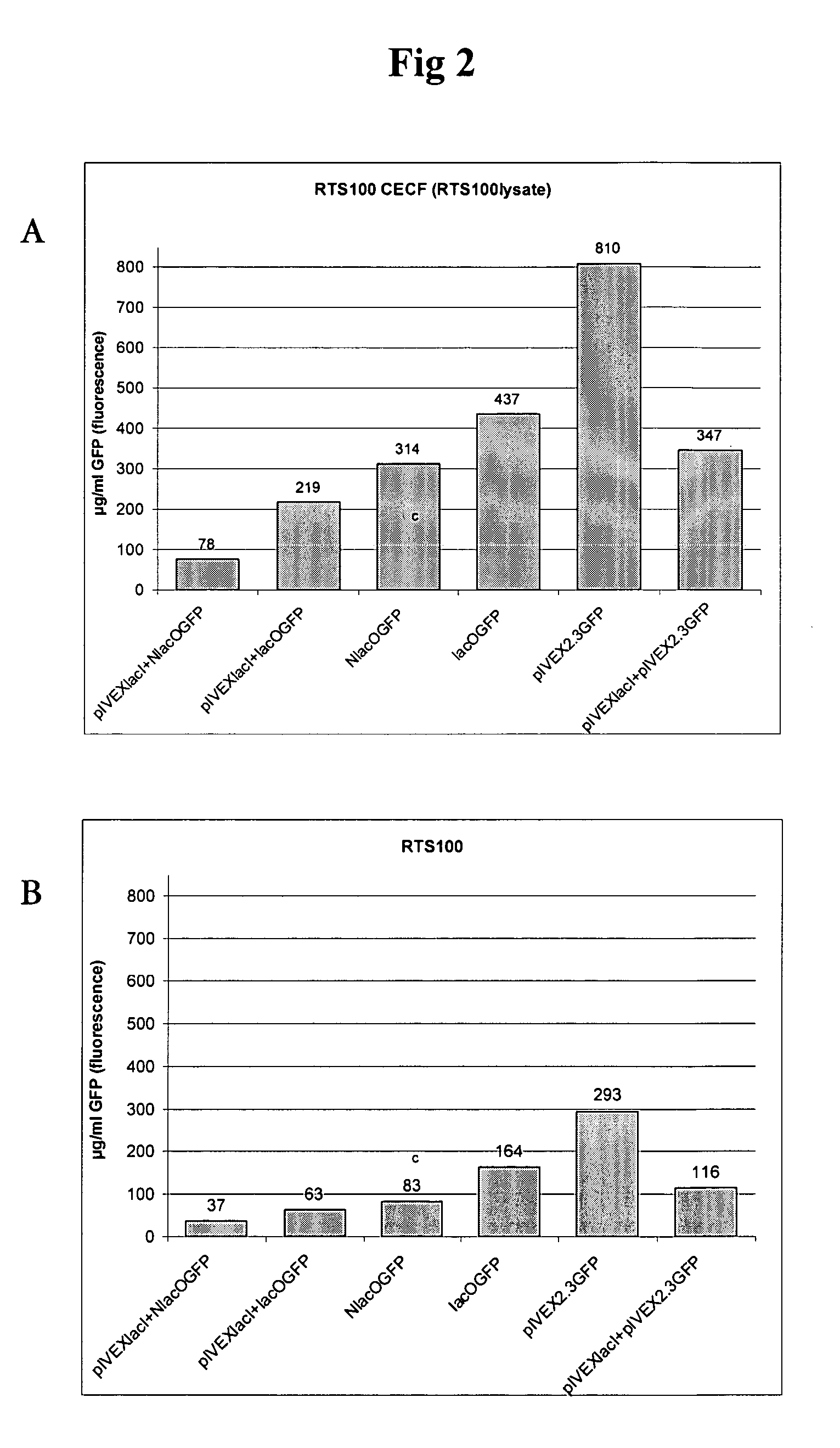 Stabilization of linear double-stranded DNA in the presence of exonucleases