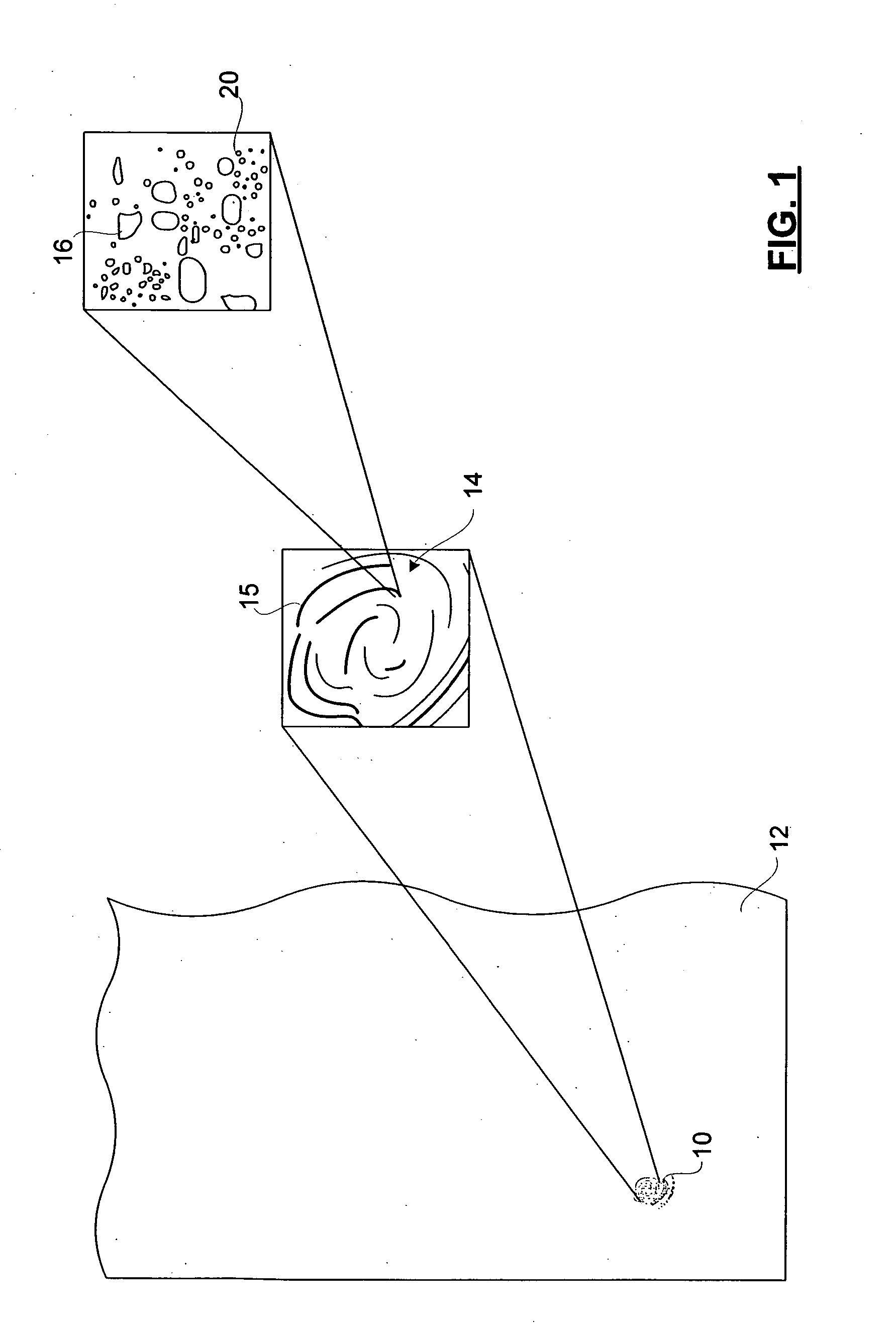 Method and apparatus for collecting cells for macromolecular analysis