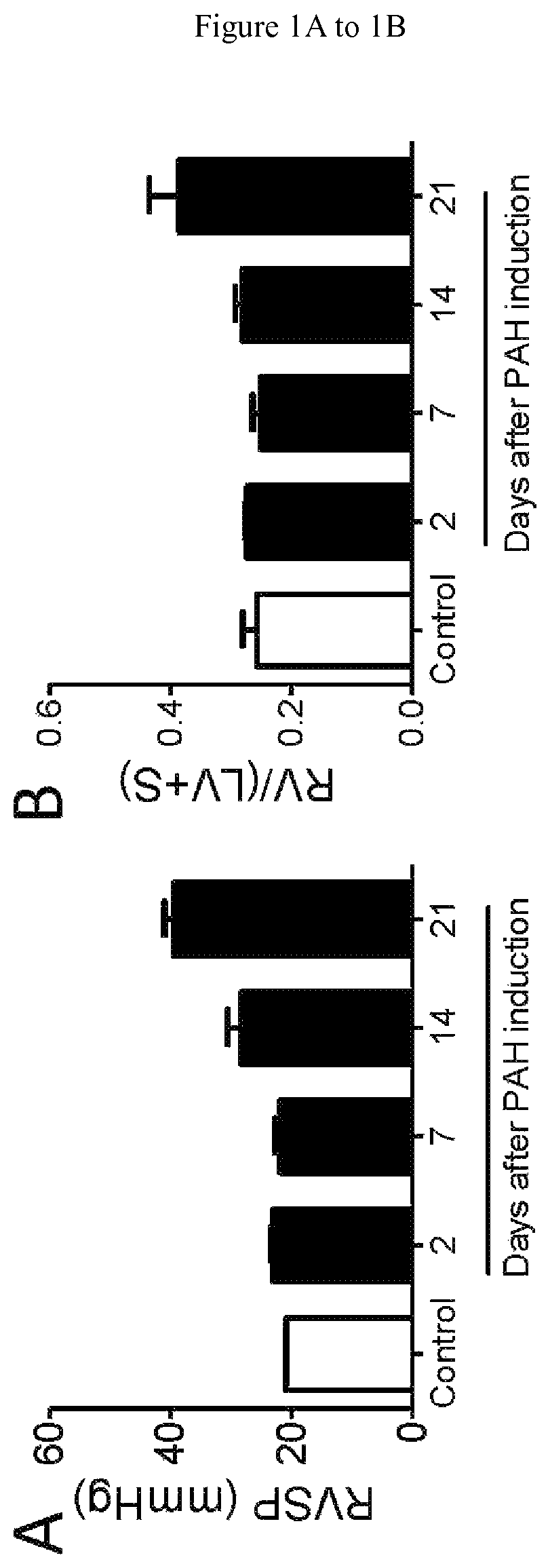 Methods for treating pulmonary hypertension with a TGF-beta type II receptor-FC fusion protein