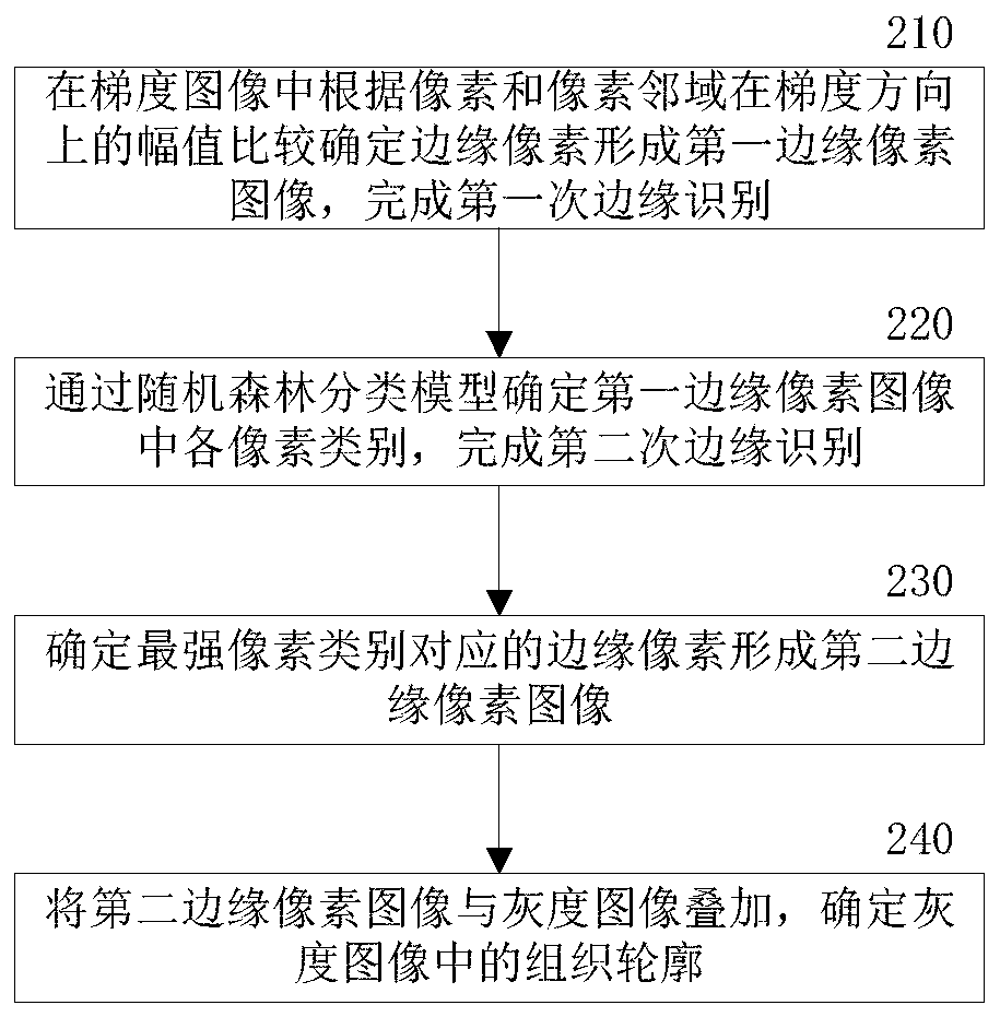 Method and system for separating ankle ligaments in medical image