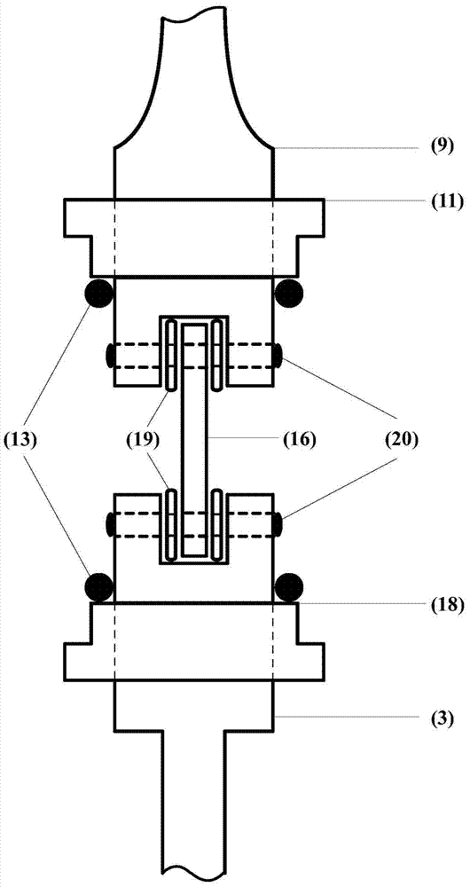 Constant-load stress corrosion testing device of small test sample and testing method thereof