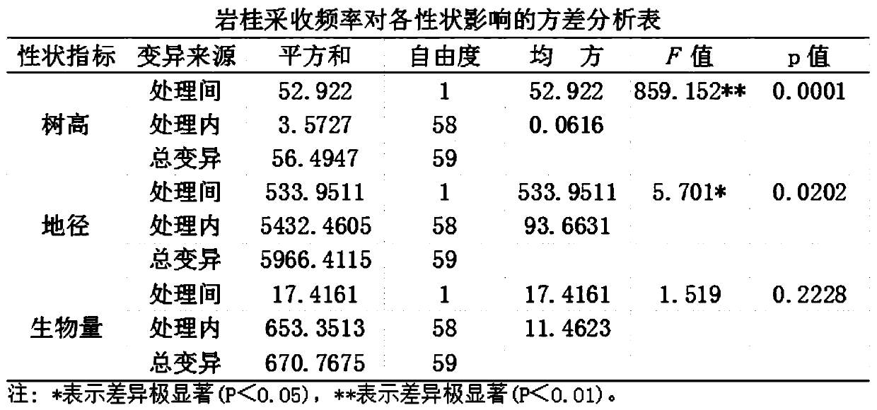 Method of replacing harvesting with stubble levelling for cinnamomum subavenium Miq.