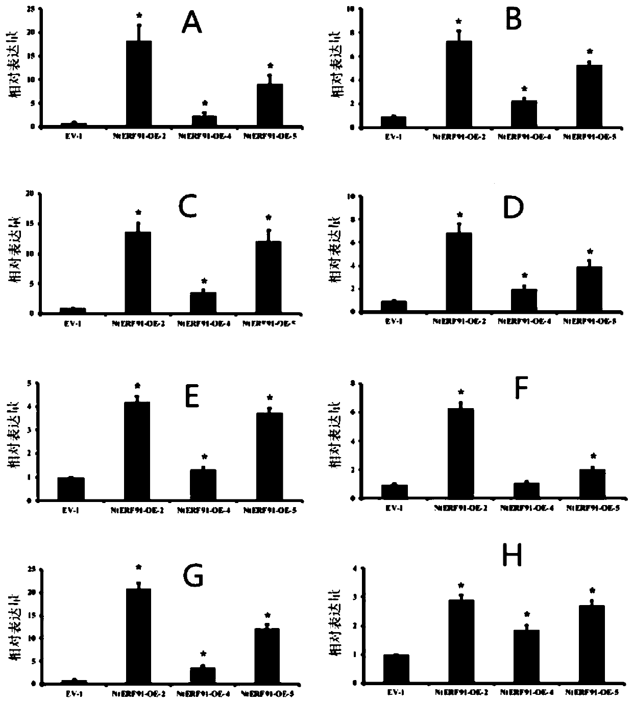 Cloning and application of tobacco neonicotinoid synthesis regulation gene NtERF91