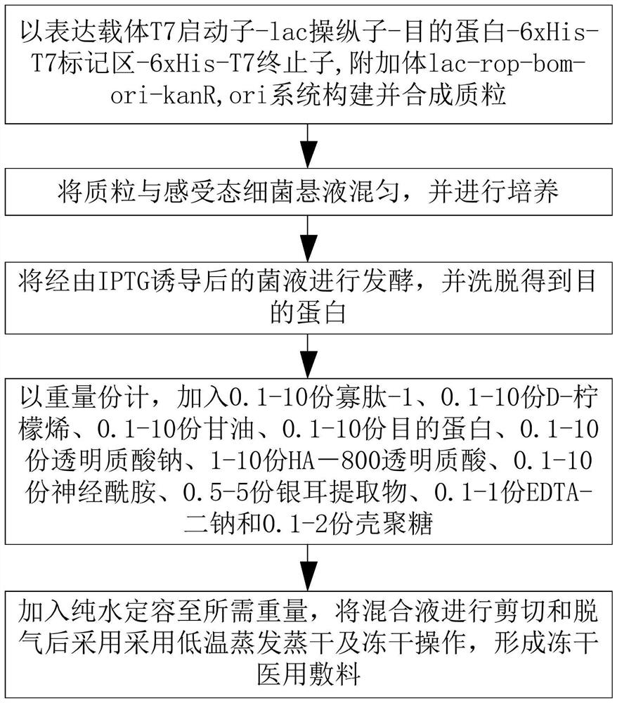 Preparation method of freeze-dried medical dressing and freeze-dried medical cold compress