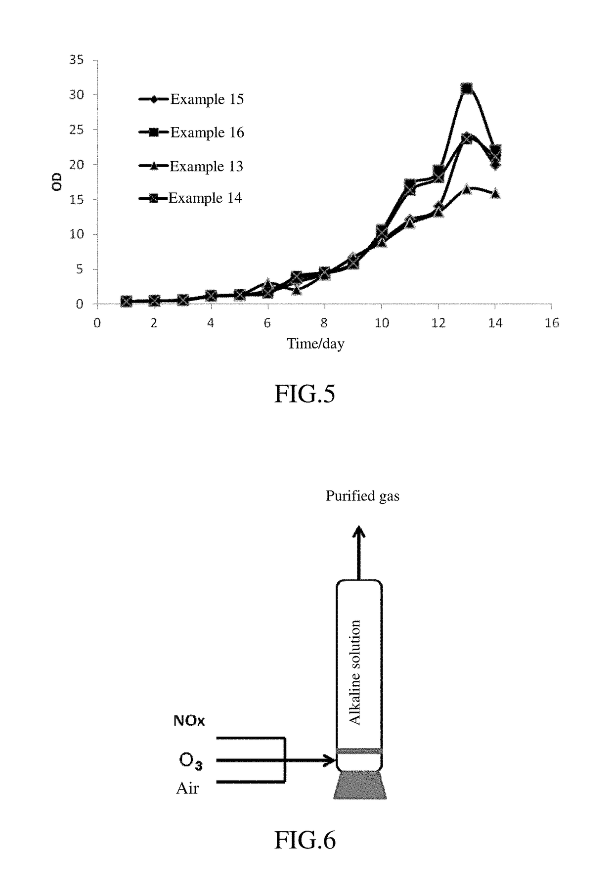 A process of cultivating microalgae and a joint method of same with a denitration process