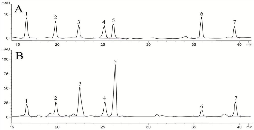HPLC method for detecting saponin in panax notoginseng leaves