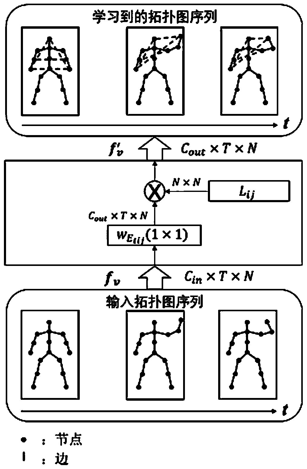 Human body behavior recognition method and system based on graph convolution network