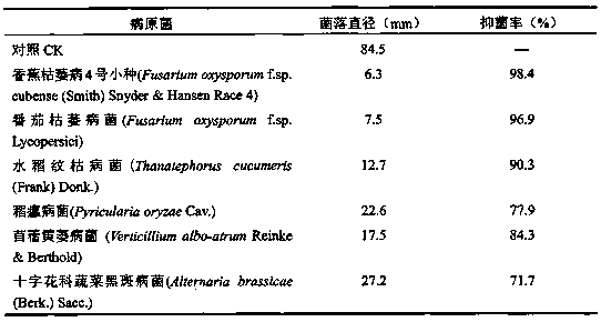 A kind of bacillus amyloliquefaciens hn-11 and bacterial agent thereof