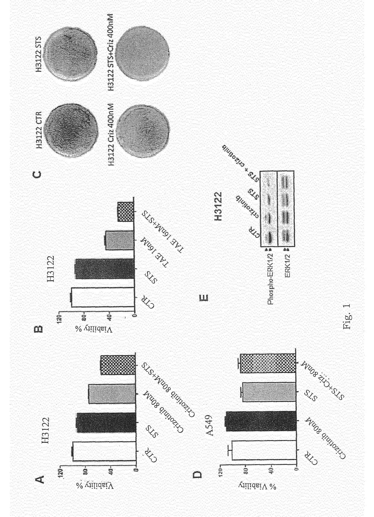 Tyrosine kinase inhibitors for use in a method of treating cancer in association with a reduced caloric intake