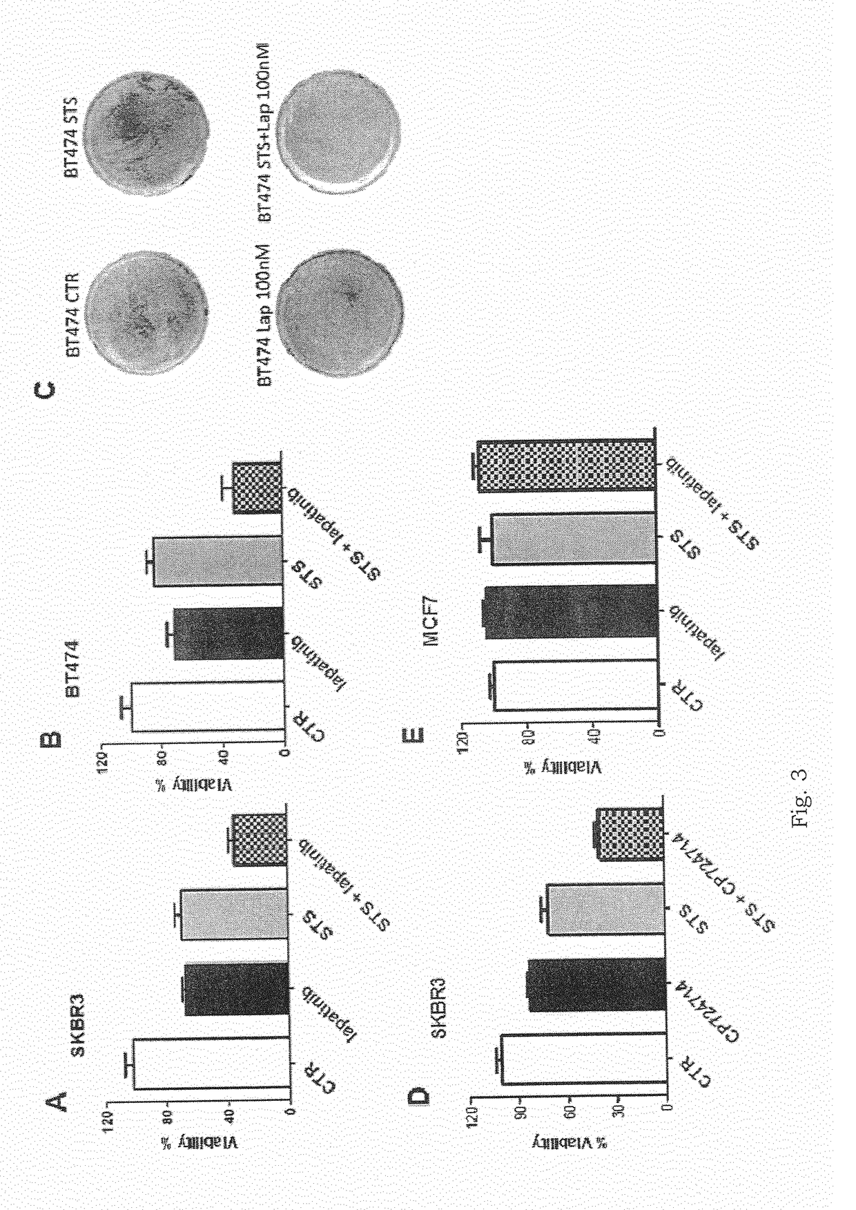 Tyrosine kinase inhibitors for use in a method of treating cancer in association with a reduced caloric intake