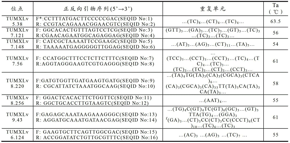 A method for constructing the basic population of Litopenaeus vannamei based on genetic information and excellent traits