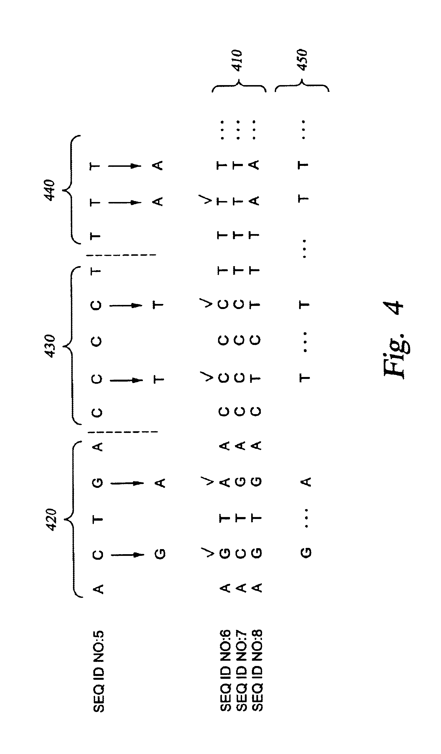 Genetic analysis systems and methods